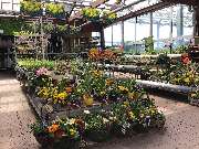 OBI Markt Ebersbach - Kalthalle Garten