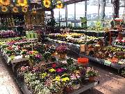 OBI Markt Ebersbach - Kalthalle Garten im Herbst