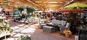 OBI Markt Ebersbach - OBI Gartencenter Ebersbach