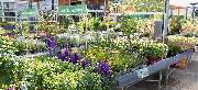 OBI Markt Ebersbach - OBI Gartencenter Ebersbach