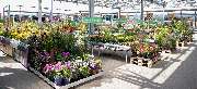 OBI Markt Ebersbach - OBI Gartencenter Ebersbach