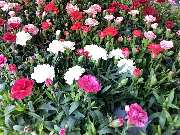 OBI Markt Eichstätt - GALLERY