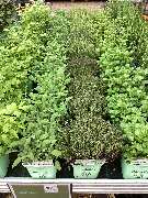 OBI Markt Eichstätt - GALLERY