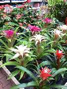 OBI Markt Eichstätt - GALLERY