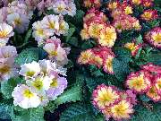 OBI Markt Eichstätt - GALLERY