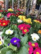 OBI Markt Eichstätt - GALLERY