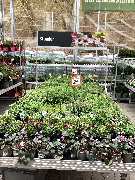 OBI Markt Eichstätt - GALLERY