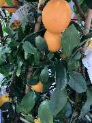 OBI Markt Eichstätt - GALLERY