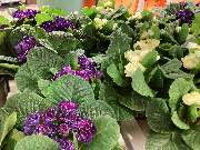 OBI Markt Eichstätt - GALLERY