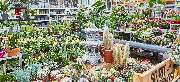 OBI Markt Eichstätt - GALLERY