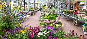 OBI Markt Eisenach - OBI Gartencenter Eisenach