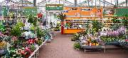 OBI Markt Eisenach - OBI Gartencenter Eisenach