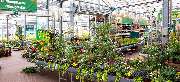 OBI Markt Eisenach - OBI Gartencenter Eisenach