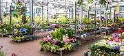 OBI Markt Eisenach - OBI Gartencenter Eisenach