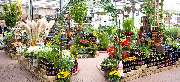 OBI Markt Eisenach - OBI Gartencenter Eisenach