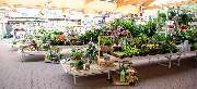 OBI Markt Eisenberg - OBI Gartencenter Eisenberg