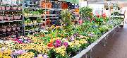OBI Markt Eisenberg - OBI Gartencenter Eisenberg