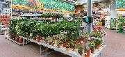 OBI Markt Elmshorn - OBI Gartencenter Elmshorn