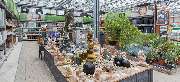 OBI Markt Emden - OBI Gartencenter Emden
