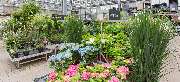 OBI Markt Emden - OBI Gartencenter Emden