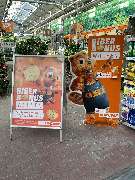 OBI Markt Emden - OBI

Garteneingang