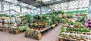 OBI Markt Emmendingen - OBI Gartencenter Emmendingen