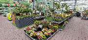 OBI Markt Emmerich - OBI Gartencenter Emmerich