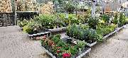 OBI Markt Emmerich - OBI Gartencenter Emmerich