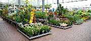 OBI Markt Erfurt - OBI Gartencenter Erfurt Nord