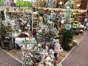 OBI Markt Erfurt Süd - Gartenboutique