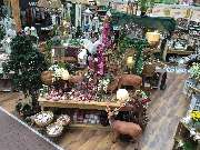 OBI Markt Erfurt Süd - Gartenboutique