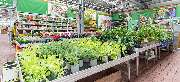 OBI Markt Erkelenz - GALLERY