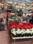 OBI Markt Erkelenz - OBI Fenster- und Türen-Studio Erkelenz