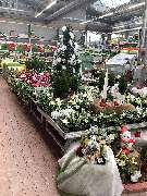 OBI Markt Erkelenz - OBI Lampen- & Leuchtenstudio Erkelenz