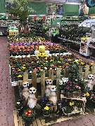 OBI Markt Erkelenz - OBI Markt-Eingang Erkelenz