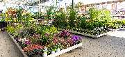 OBI Markt Eschweiler - GALLERY