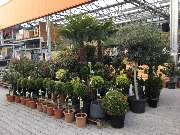 OBI Markt Eschweiler - OBI Badplaner Eschweiler