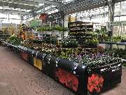 OBI Markt Eschweiler - OBI BBQ & Grillwelt Eschweiler
