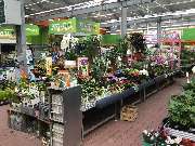 OBI Markt Eschweiler - OBI Küchenplaner Eschweiler