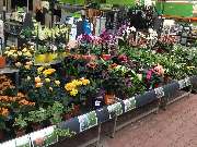 OBI Markt Eschweiler - OBI Lampen- & Leuchtenstudio Eschweiler