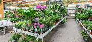 OBI Markt Euskirchen - OBI Gartencenter Euskirchen