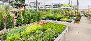 OBI Markt Euskirchen - OBI Gartencenter Euskirchen
