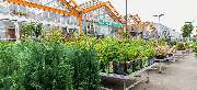 OBI Markt Euskirchen - OBI Gartencenter Euskirchen