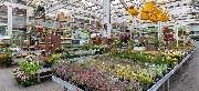 OBI Markt Euskirchen - OBI Gartencenter Euskirchen