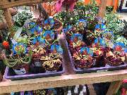 OBI Markt Finowfurt - OBI BBQ & Grillwelt Finowfurt