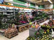 OBI Markt Finowfurt - OBI Gartencenter Finowfurt