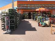 OBI Markt Flensburg - Blumen vor dem Obi-Markt