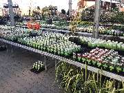 OBI Markt Forchheim - OBI Forchheim Freigelände 2020