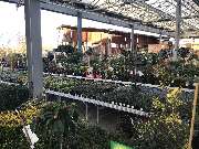 OBI Markt Forchheim - OBI Forchheim Freigelände 2020