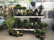 OBI Markt Forchheim - OBI Forchheim Freigelände 2020